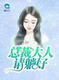 总裁大人请轻饶