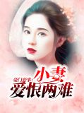 豪门恋事：小妻爱恨两难
