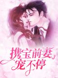 携宝前妻宠不停