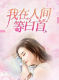 我在人间等你是什么歌