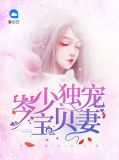 岑少独宠宝贝妻岑墨