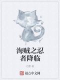 海贼之忍者降临