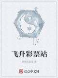 飞升彩票站