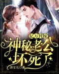 亿万甜心高调宠