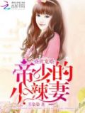 盛世宠婚：帝少的小辣妻