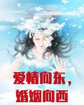 爱情向东，婚姻向西