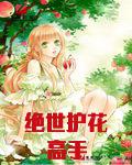 绝世护花高手