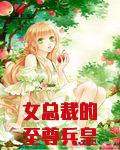 女总裁的至尊兵皇
