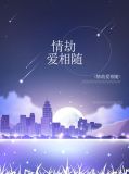 情劫爱相随陶凌峰