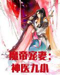 魔帝宠妻：神医九小姐