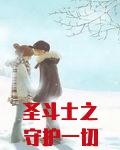 圣斗士之守护一切