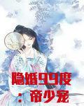 隐婚99度：帝少宠妻入骨
