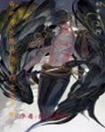 异世大陆女扮男装玄幻