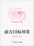 前方目标异常