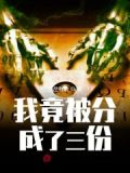 我竟被分成了三份