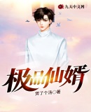 极品仙婿