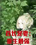 首长宠妻：重生最强军嫂