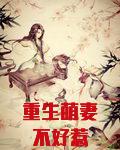重生萌妻不好惹