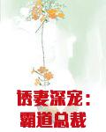 诱妻深宠：霸道总裁狠狠宠