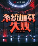 系统加载失败