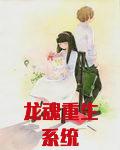 龙魂重生系统