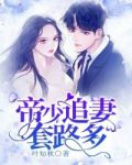 帝少追妻套路多