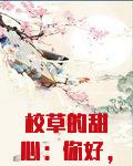 校草的甜心：你好，女朋友！