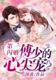 第一闪婚：傅少的心尖宠黎歌傅司言