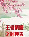 王者荣耀之剑神盖世