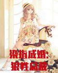 染指成婚:狼性总裁求放过