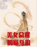 美女总裁的贴身司机