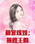 萌宠嫁到：摄政王的小狐妃