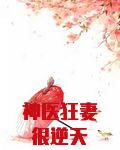 神医狂妻很逆天