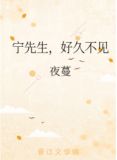 宁先生，好久不见