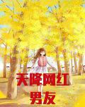 天降网红男友