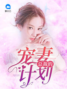总裁的宠妻计划