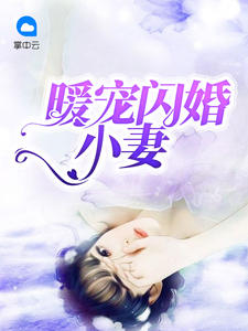 暖宠闪婚小妻