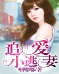 追爱小逃妻