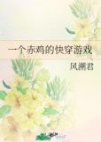 一个赤鸡的快穿游戏