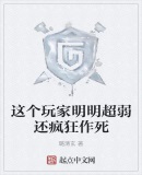 这个玩家不太对劲txt