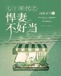七十年代之悍妻不好当