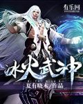 冰火武神