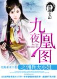 九夜凰图之佣兵大小