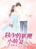 陆少的狐狸小娇妻许蔓