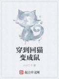 穿到回猫变成鼠