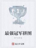 最强冠军拼图