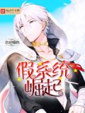 假系统崛起