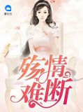情殇难断全文免费阅读