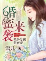 婚蜜来袭:暖男总裁甜蜜妻 聚合中文网
