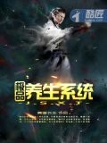 极品养生系统